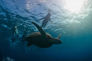 Gili öarna: 3 öar BBQ dag kryssning snorkling kryssning