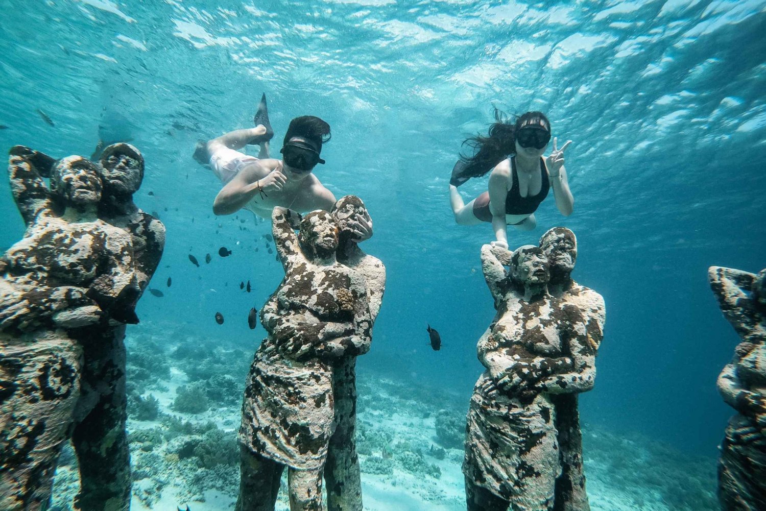 Gili Island: Group or Private Snorkeling Tour