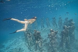 Wyspa Gili: Grupowa lub prywatna wycieczka snorkelingowa