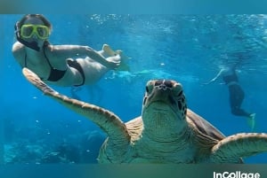 Depuis l'île de Gili : Excursion en groupe/partage de plongée avec tuba 3 îles