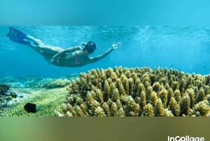 Van Gili eiland: Groep/Share snorkeltour 3 eilanden