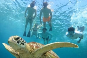 Von der Insel Gili aus: Gruppe/Share Schnorchel Tour 3 Inseln