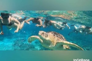 Depuis l'île de Gili : Excursion en groupe/partage de plongée avec tuba 3 îles