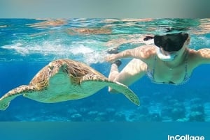 Van Gili eiland: Groep/Share snorkeltour 3 eilanden