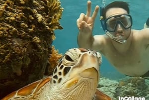 Da ilha Gili: Excursão de Snorkelling em grupo/partilhada 3 ilhas