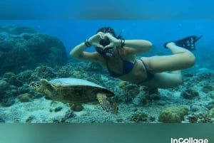 Depuis l'île de Gili : Excursion en groupe/partage de plongée avec tuba 3 îles