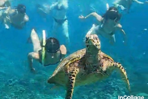 Depuis les îles Gili : Excursion de plongée avec masque et tuba dans les 3 îles avec Gopro