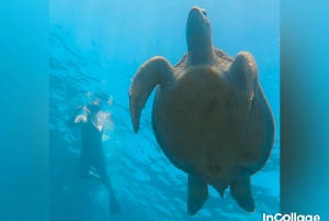 Fra Gili-øyene: Snorkletur 3 øyer med Gopro