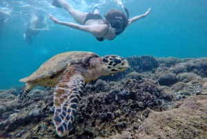 Gili Island : Private Snorkeling Tour 3 Gili Island + GOPRO