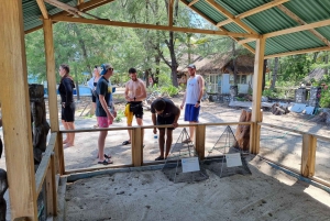 Plongée en apnée sur l'île de Gili : Gili Trawangan, Meno et Air