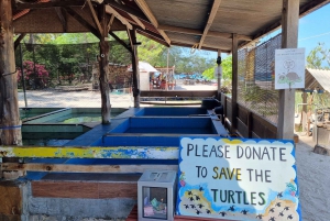 Snorkeling na wyspie Gili: Gili Trawangan, Meno i Air