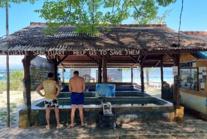 Snorkling på Gili Island: Gili Trawangan, Meno och Air