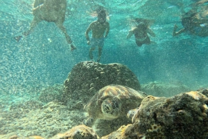 Snorkling på Gili-øerne: Gili Trawangan, Meno og Air