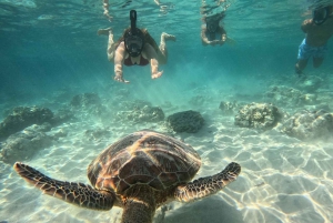 Snorkling på Gili Island: Gili Trawangan, Meno och Air