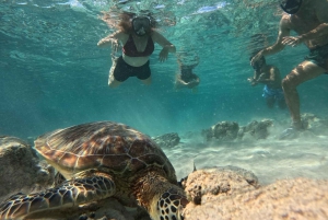 Snorkling på Gili Island: Gili Trawangan, Meno och Air