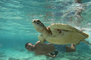 Snorkling på Gili Island: Gili Trawangan, Meno och Air