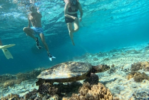 Snorkling på Gili-øyene: Gili Trawangan, Meno og Air