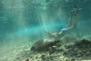 Snorkling på Gili-øerne: Gili Trawangan, Meno og Air