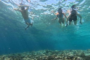 Snorkling på Gili Island: Gili Trawangan, Meno och Air