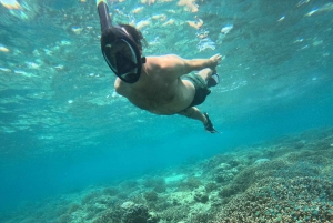 Snorkling på Gili-øerne: Gili Trawangan, Meno og Air