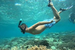 Snorkling på Gili Island: Gili Trawangan, Meno och Air