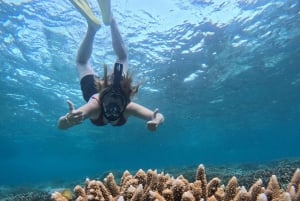 Mergulho com snorkel nas Ilhas Gili: Gili Trawangan, Meno e Air