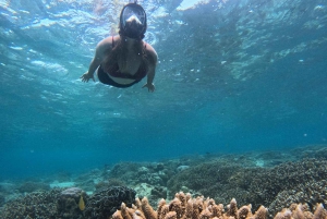 Gilin saaren snorklaus: Gili Trawangan, Meno ja Air