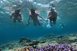 Snorkling på Gili Island: Gili Trawangan, Meno och Air