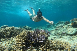 Snorkling på Gili Island: Gili Trawangan, Meno och Air