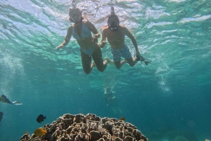 Mergulho com snorkel nas Ilhas Gili: Gili Trawangan, Meno e Air