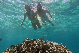 Snorkling på Gili Island: Gili Trawangan, Meno och Air