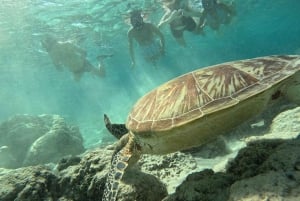 Snorkling på Gili Island: Gili Trawangan, Meno och Air