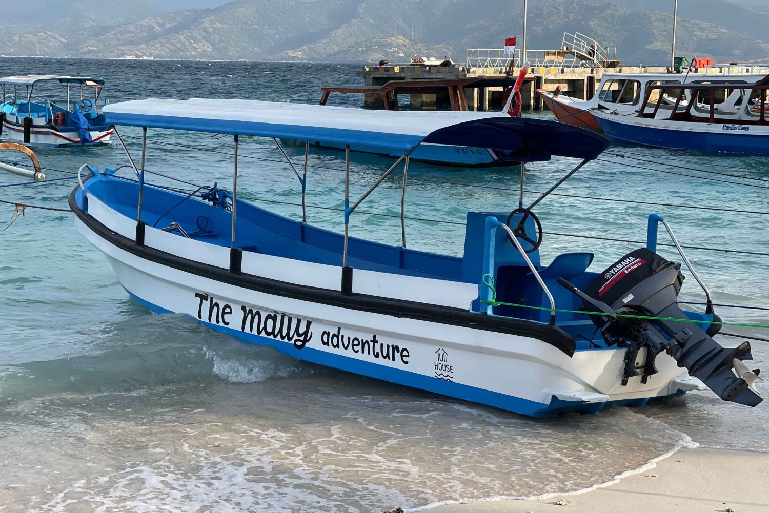 Gili island Snorkelling by private glass bottom boat