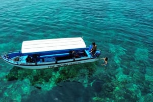 Gili island Snorkelling by private glass bottom boat