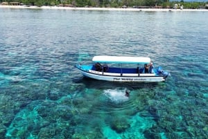 Gili island Snorkelling by private glass bottom boat