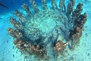 Gili island Snorkelling by private glass bottom boat