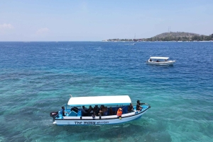 Gili island Snorkelling by private glass bottom boat