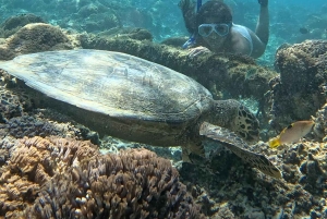 Gili island Snorkelling by private glass bottom boat