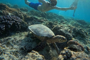 Gili island Snorkelling by private glass bottom boat