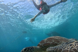 Gili island Snorkelling by private glass bottom boat