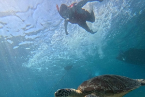 Gili island Snorkelling by private glass bottom boat