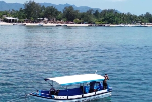 Gili island Snorkelling by private glass bottom boat