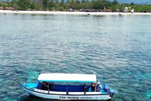 Gili island Snorkelling by private glass bottom boat