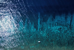 Gili island Snorkelling by private glass bottom boat