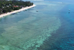 Gili island Snorkelling by private glass bottom boat