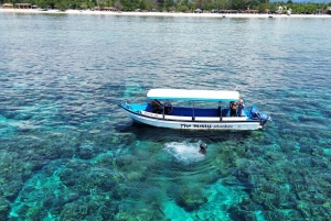 Gili island Snorkelling by private glass bottom boat