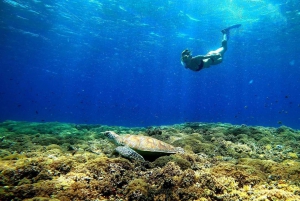 Passeio de mergulho com snorkel e pôr do sol em Gili (sessão de fotos com câmera profissional)