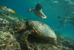 Zachód słońca i nurkowanie z rurką na Gili (sesja zdjęciowa go pro)