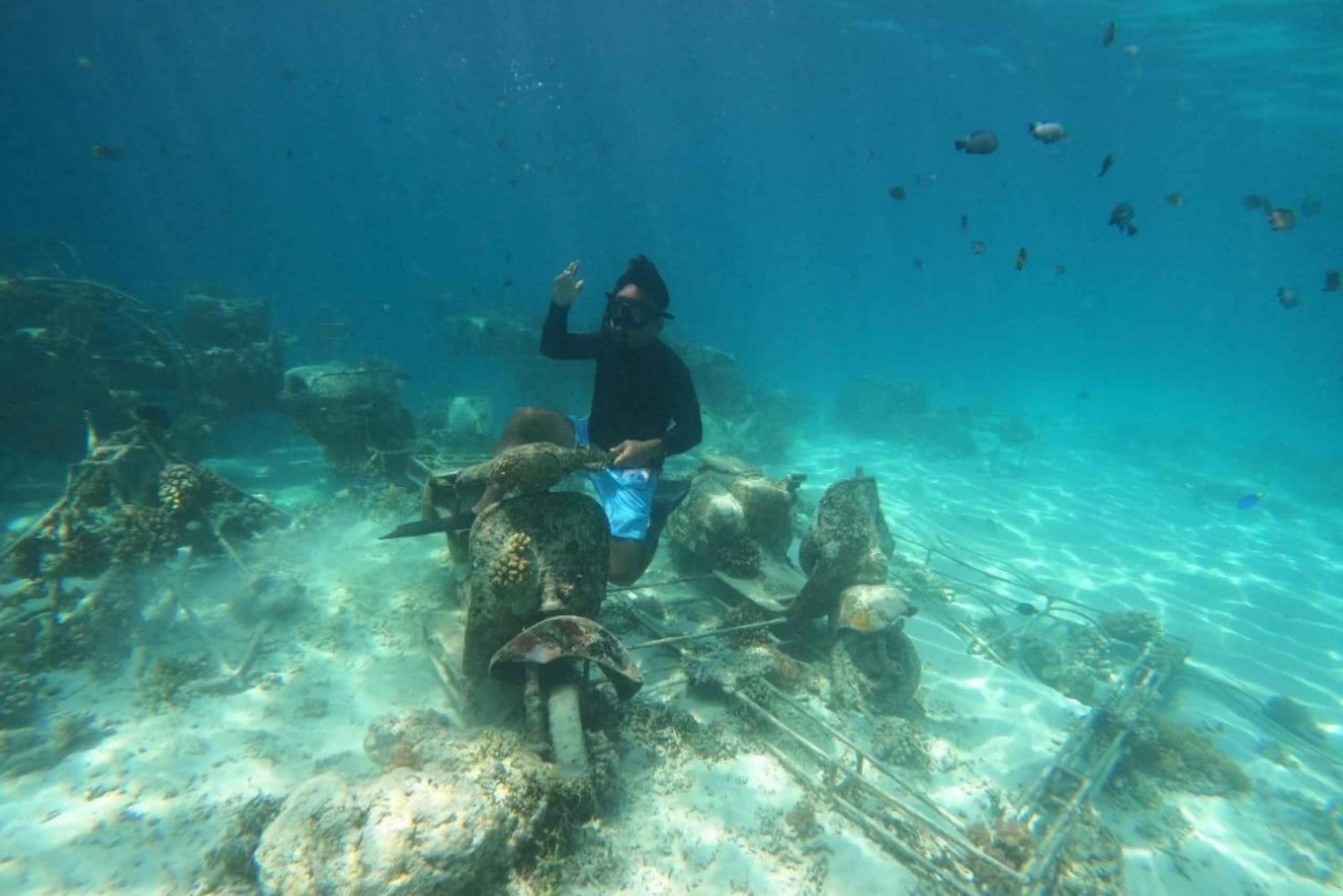 Exploring-the-Underwater-Statue-at-Nest-Statue-Point