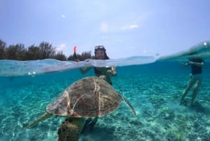 Lombok: Dia inteiro de mergulho com snorkel nas ilhas Trawangan, Meno e Air